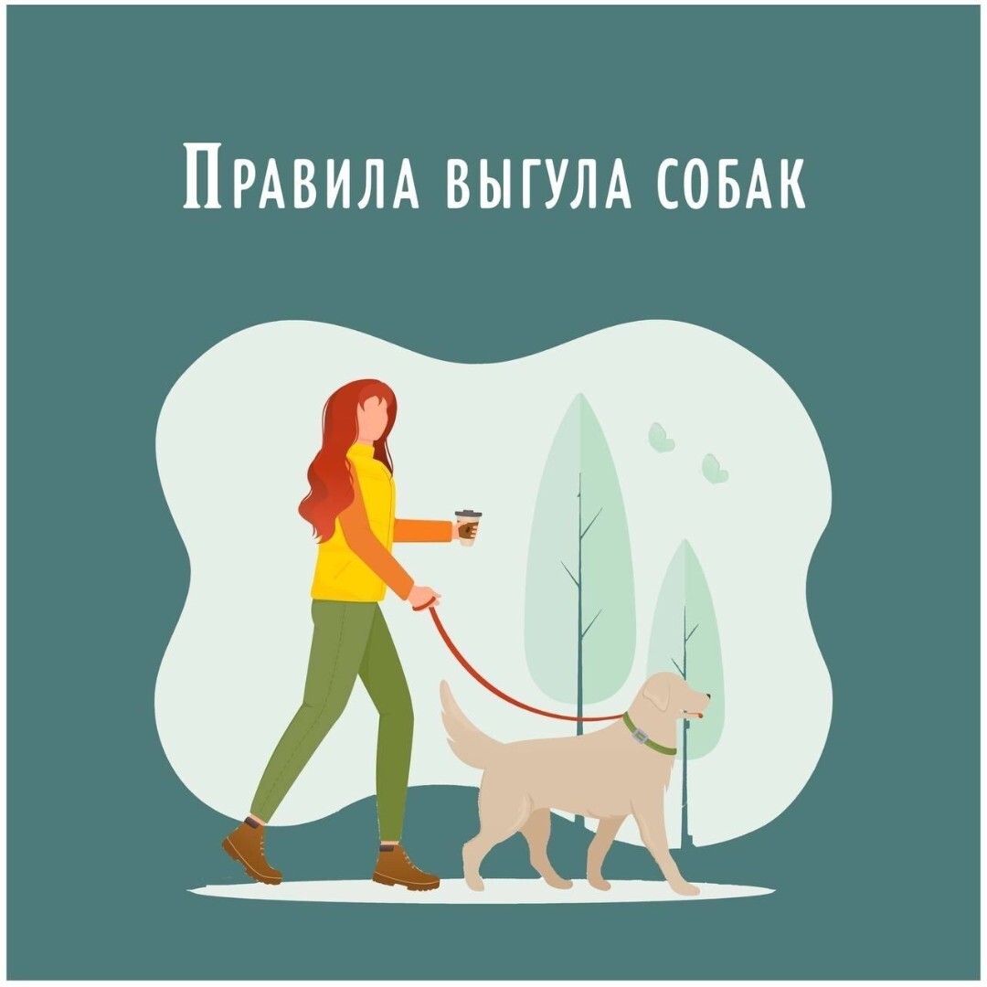 Новые правила выгула собак в 2025 году.