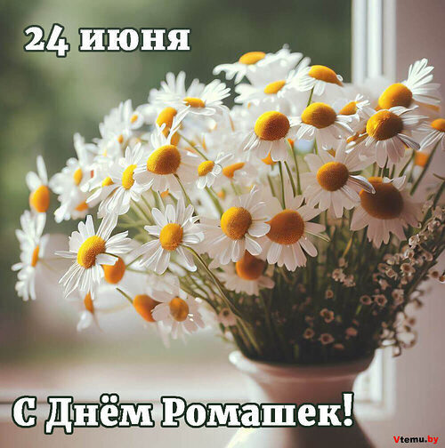 День ромашки. День ромашки.