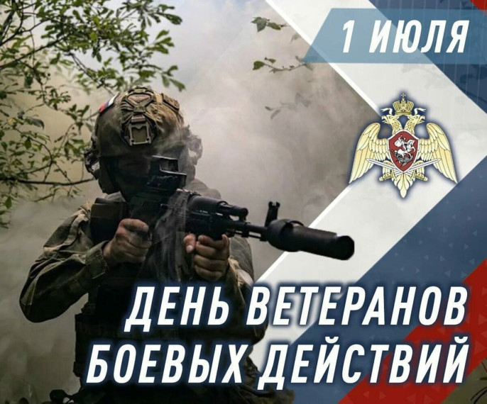 День ветеранов боевых действий. День ветеранов боевых действий.